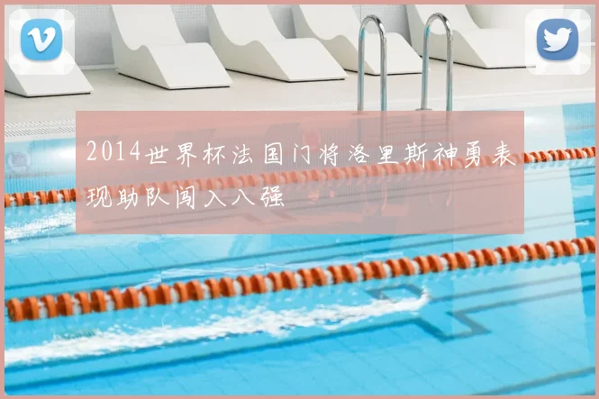 2014世界杯法国门将洛里斯神勇表现助队闯入八强