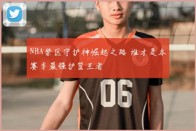 NBA禁区守护神崛起之路 谁才是本赛季最强护筐王者