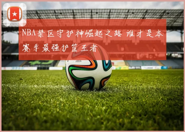 NBA禁区守护神崛起之路 谁才是本赛季最强护筐王者