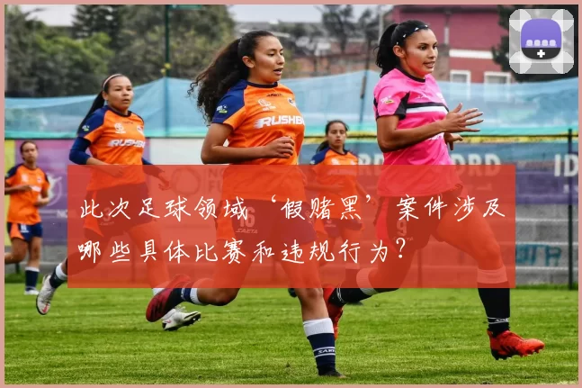 此次足球领域‘假赌黑’案件涉及哪些具体比赛和违规行为？